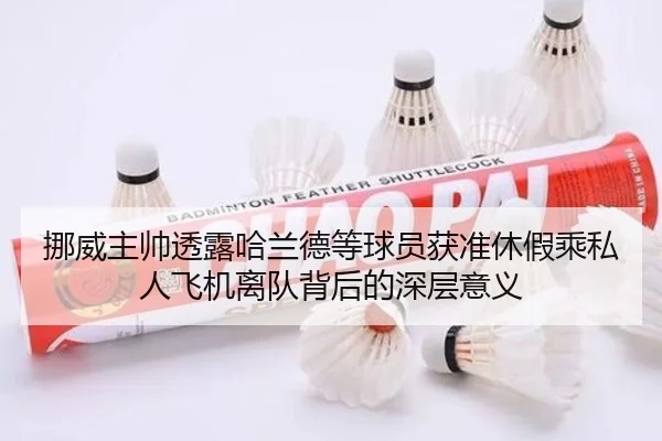 挪威主帅透露哈兰德等球员获准休假乘私人飞机离队背后的深层意义